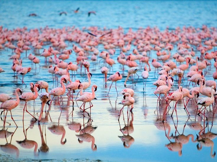 Rift Valley Adventure